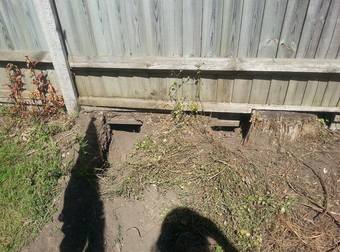 He Found Two Holes Coming Into His Backyard. Then He Turned Around And… LOL!