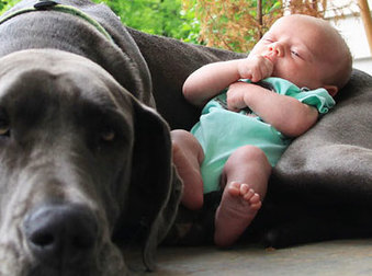 These 31 Kids And Their Dogs Are The Cutest Thing You’ll See All Day.