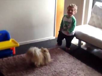 This Excited Dog Can’t Get Enough of His Baby Friend. Someone Wants to Play!