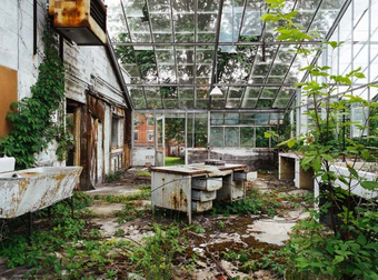 These Photos of Abandoned Asylums Are Hauntingly Beautiful.