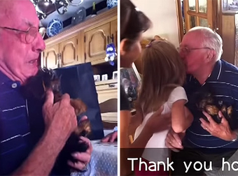After Losing His Wife Of 63 Years, This Man Received The Sweetest Surprise.