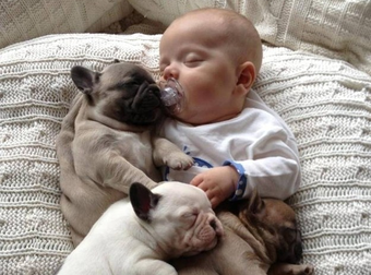 These Cuddly Animals Need Serious Snuggles… My Heart Just Can’t Take It.