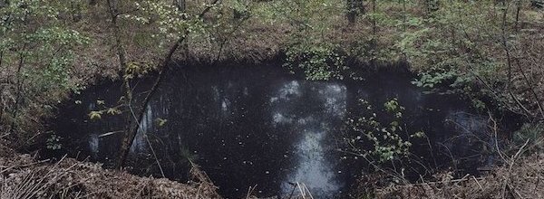 These Bomb Craters Leftover From World War II Are Hauntingly Beautiful.