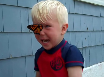 Little Boy Has The Most Adorable Reaction To A Butterfly Landing On His Face.