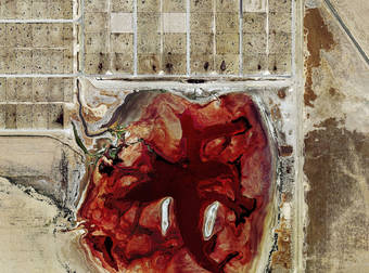 Feedlots Aren’t Only A Food Issue, They’re An Environmental Issue As Well