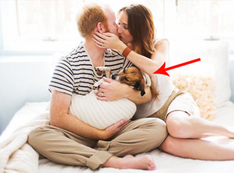 A Loving Couple’s Unusual Family Photo Shoot Is Both Precious And Hilarious.