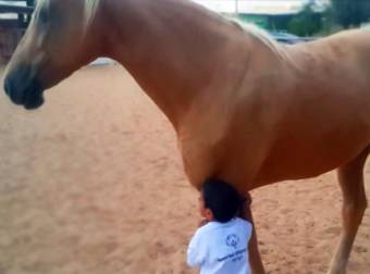 Boy With Williams Syndrome Bonds With a Young Horse.