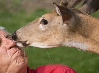 These Adorable Animals Could Be Straight Out Of A Disney Movie. D’aww.