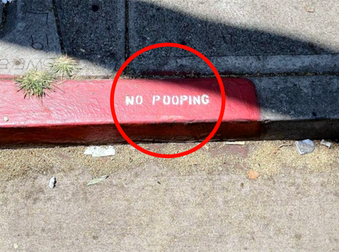 These 11 Unbelievably Obvious Signs Have Completely Believable Advice.