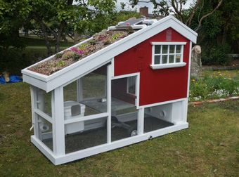 This Chicken Coop Is Cooler Than Most Human Houses. Still, I Bet The Rent Is Absurd.