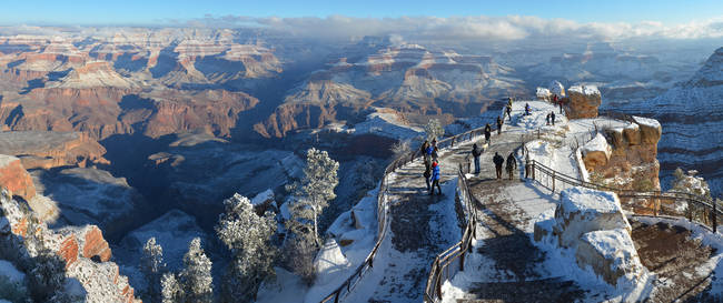 Snow is a rare occurrence in this part of the country, but when it happens? WOW.