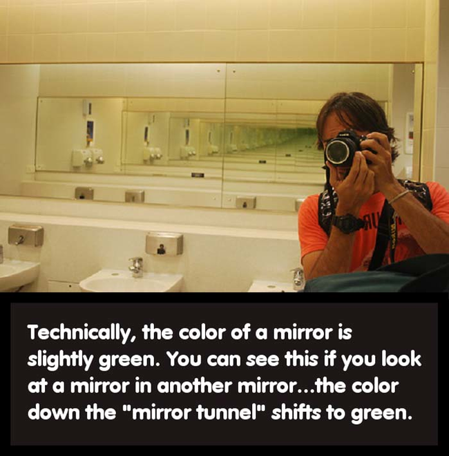 12.) The mirror is greener on the other side.