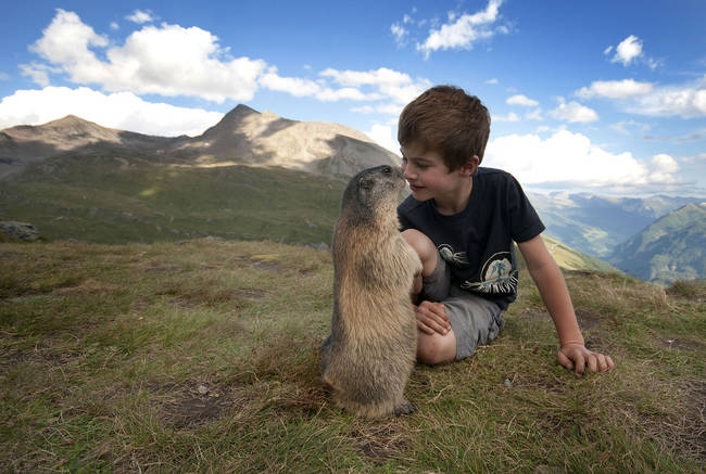 They spend time together at the marmot's home in Hohe Tauern National Park in Austria.