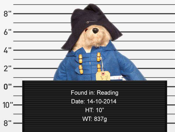 Imagine how excited you would be as a little kid to discover that your lost stuffed animal was found.