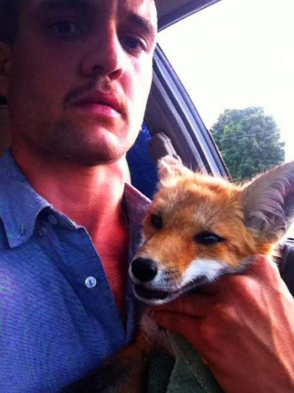 Only... 8 hours later, the man returned and discovered something amazing: the fox was alive.