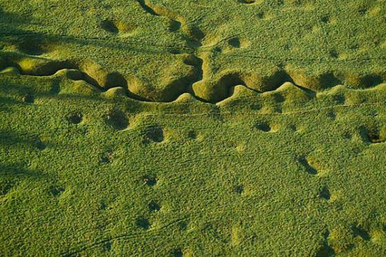 The Newfoundland Memorial Park on the Somme.