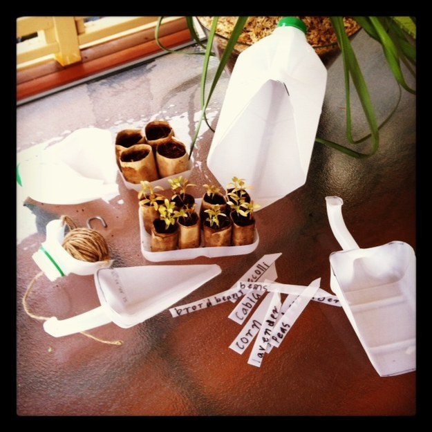 Cut old milk jugs to make some sweet gardening tools like shovels and labels.