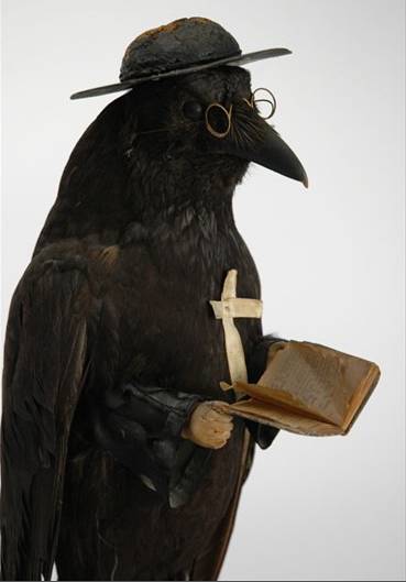 The most holy of ravens.