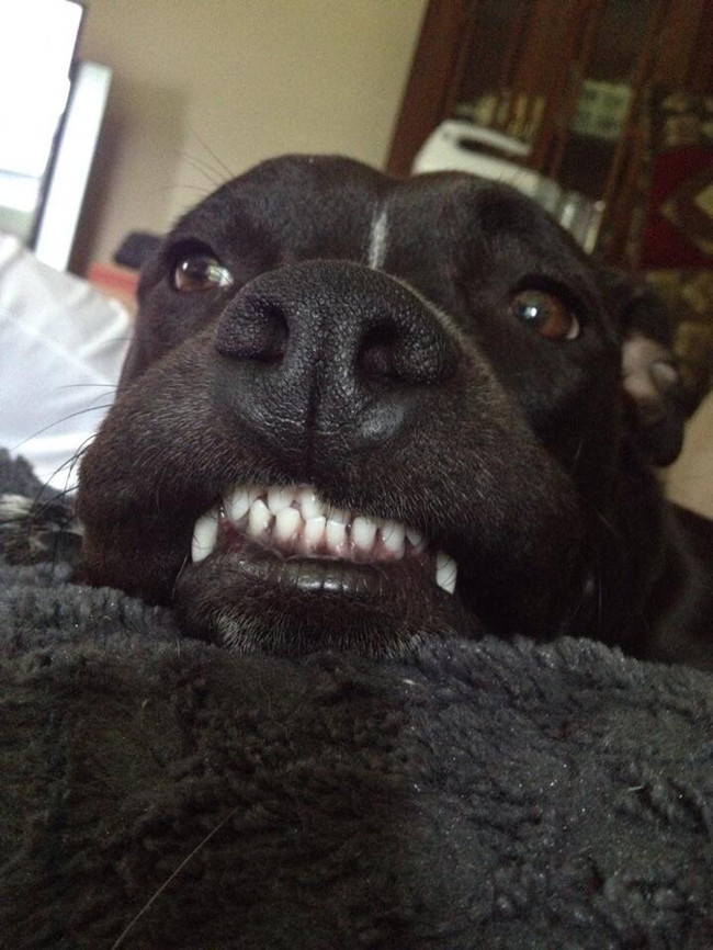 He's hoping his new teeth whitener will give him more confidence.