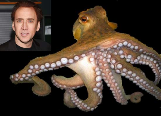 15.) Nicolas Cage has a pet octopus. (Of course he does)