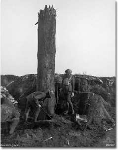 17.) During WWI, Germans put up a fake 25 foot iron tree to spy on the Allies. To do this, they cut down a tree at night while guns fired around it so Allies wouldn't hear the axes.