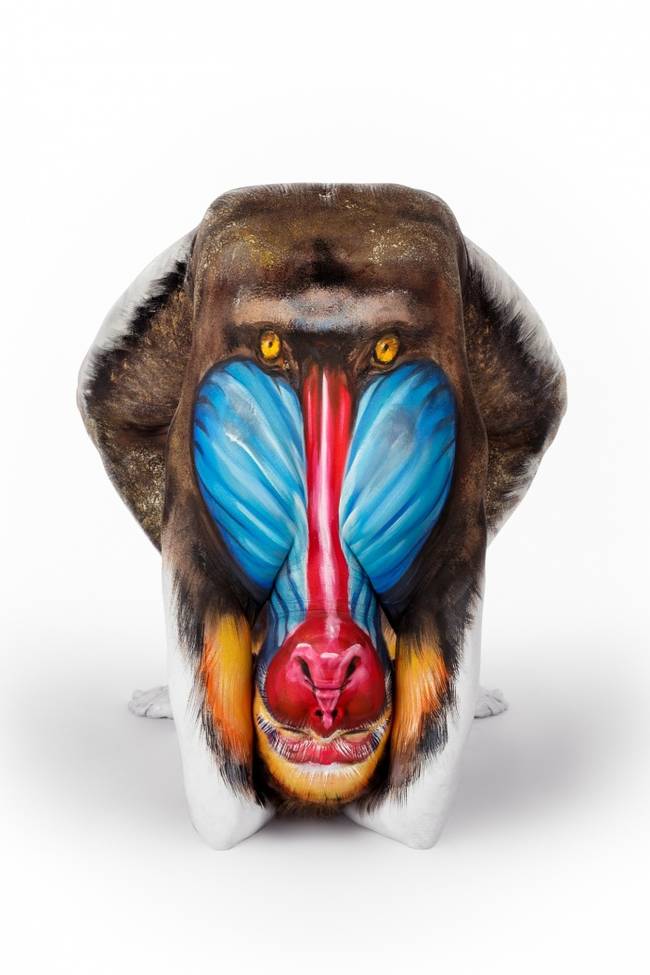 Mandrill