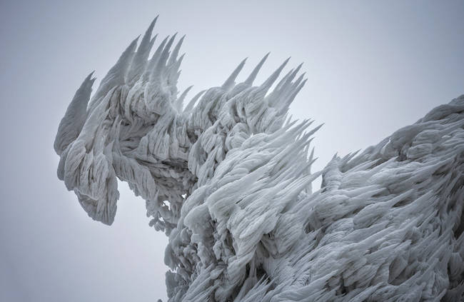 The trees and other natural features take on an otherworldly appearance.