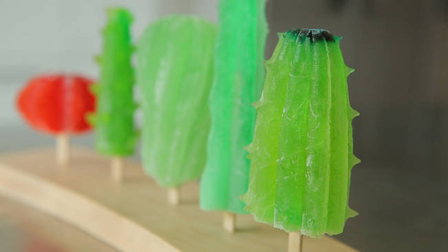 The final product of the cactus popsicles.