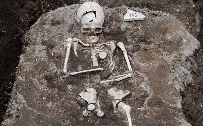 Archaeologists believe the man's corpse is a victim of vampire hysteria. Hopefully he was already dead when they put the stake through. The man's left leg was also removed after death and placed beside the body in the grave.