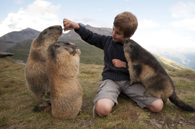 She has been capturing their adorable friendship over the years with her camera.