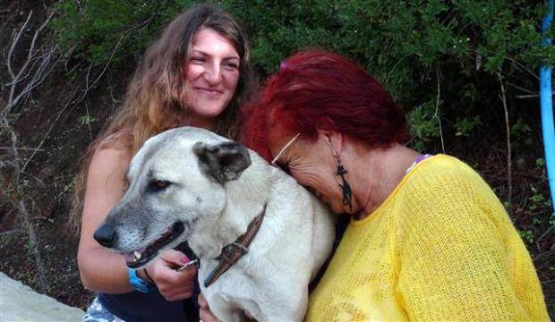 Ishbel rode with Lucy for four days, and eventually brought her to Jeannie Thirkill, a Scottish local known in the Turkish town as "the mother of cats."