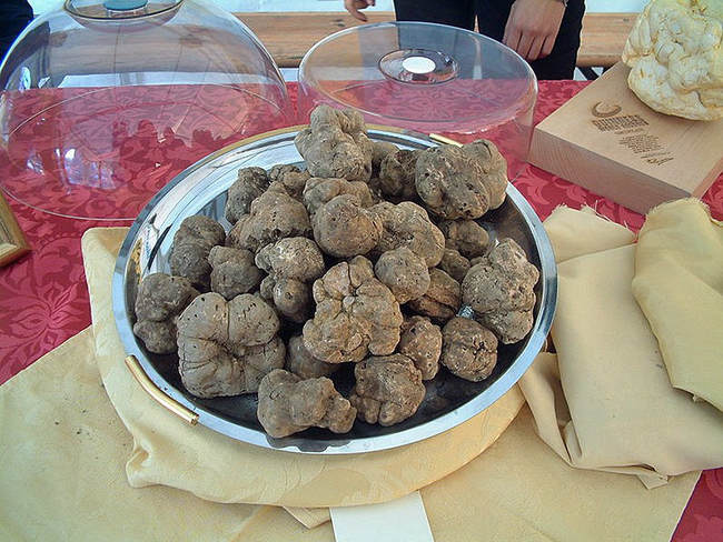 19. White Truffles: $5/gram or $2,000/pound