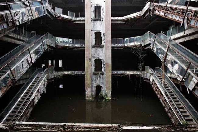 For the past two decades the fish in the basement of the abandoned New World Shopping center have been a huge tourist attraction.