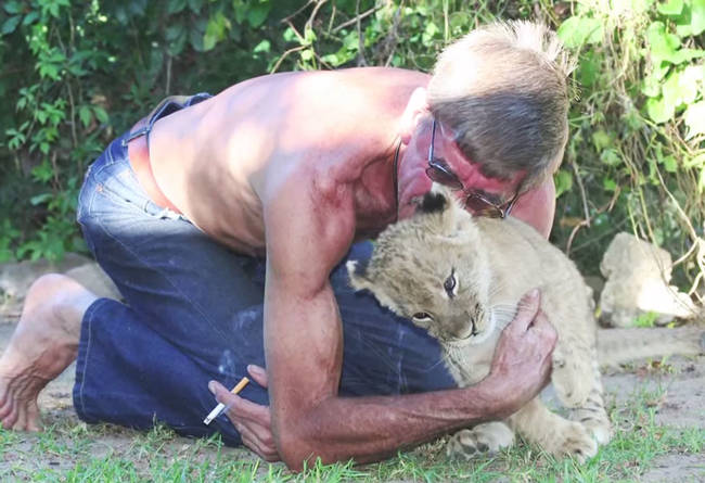 Who <em>wouldn't</em> want to spend their time cuddling up with this cute cub?