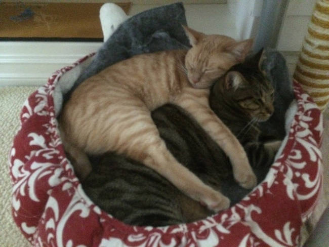 Big spoon to the extreme.