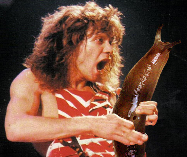 3.) Eddie Van Halen from Van Halen