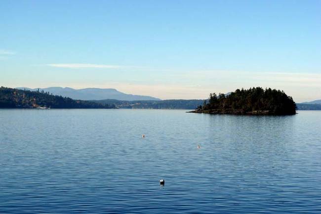 For the site of their experiment, the researchers chose Saanich Inlet in Western Canada.