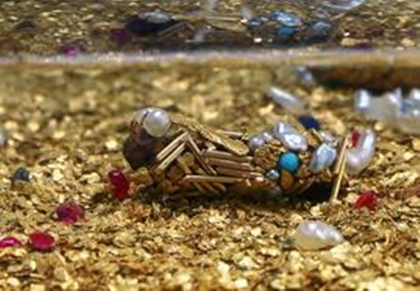 12.) Caddisfly Jewelry: Typically these creatures construct elaborate protective tubes from material found near them, including wood, fish bone, sand, etc. Here though, French artist Hubert Duprat provided gold and preceious stones for an amazing effect.