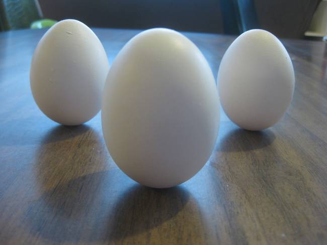 10.) Eggs can actually be balanced on any day of the year, not just the equinoxes.