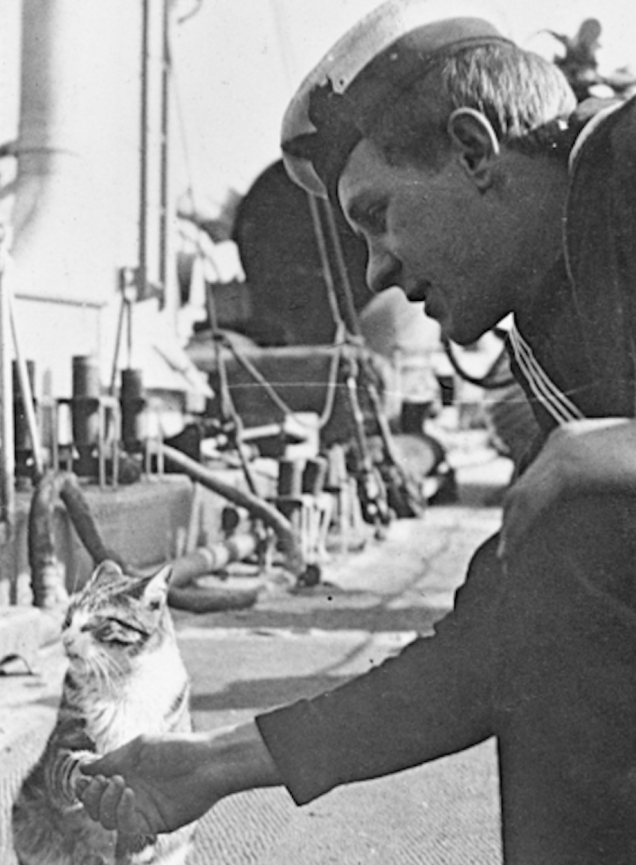 14.) Ching, the mascot of the Royal Australian Navy Destroyer <em>HMAS Swan</em>, shaking hands with a sailor.