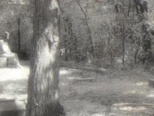 3.) Bachelor’s Grove Cemetery, Bremen, Illinois:  The Madonna of Bachelor's Grove is a famous legend in the area. Many people have claimed to have seen the woman sitting on a tombstone, staring tragically off into the distance.