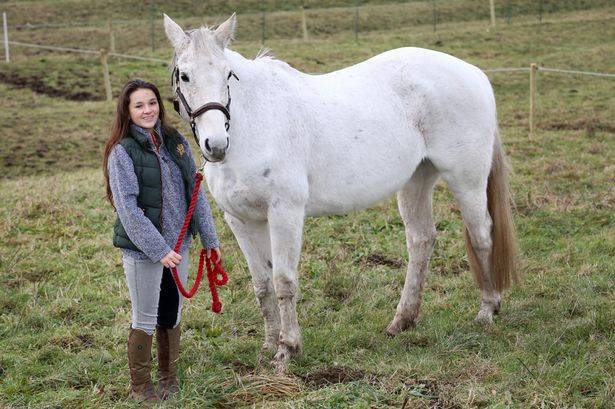 "She's still a bit wary around crowds of people but apart from that she's almost fully recovered," says Badge, who's happy to see her former partner in competition back on all four legs.