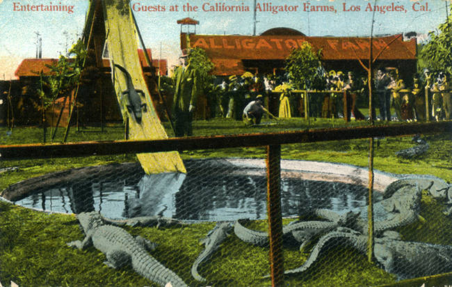 The Lincoln Heights area was a popular place for LA residents to visit as a mini-getaway.