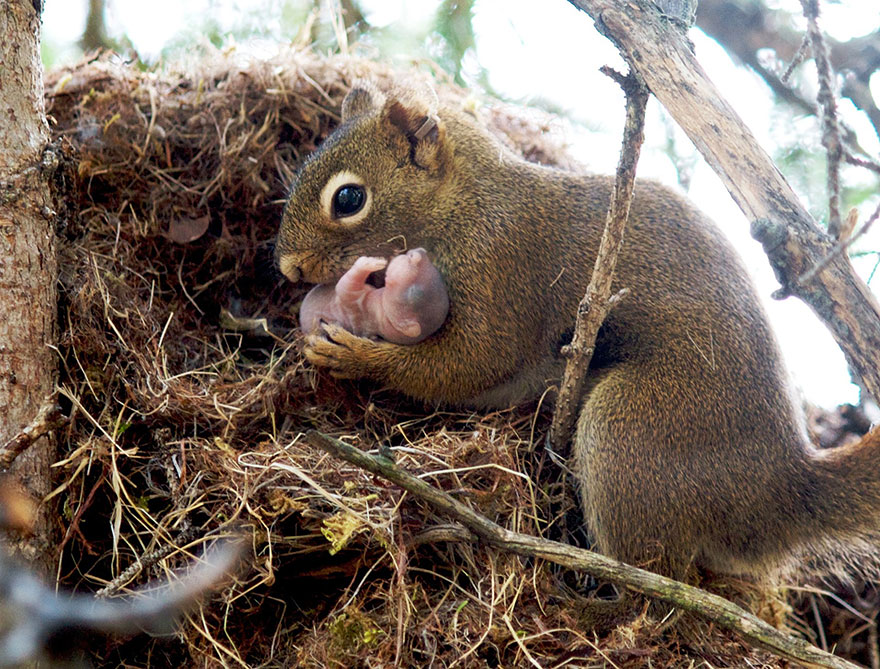 7.) “Shh! The baby is sleeping.”