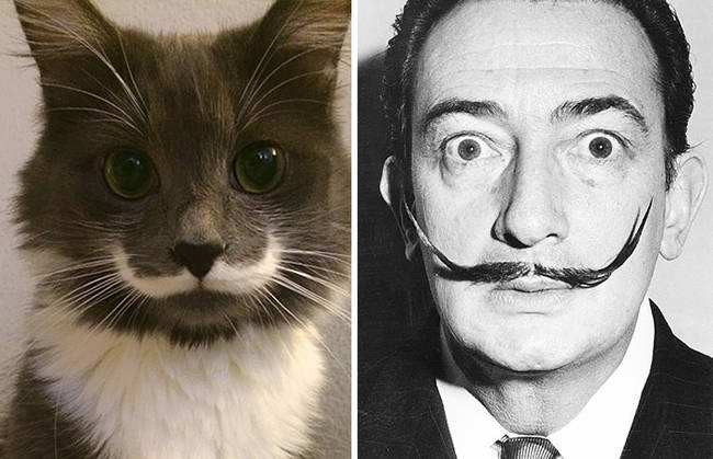 Salvador Dali, meet your hipster counterpart.