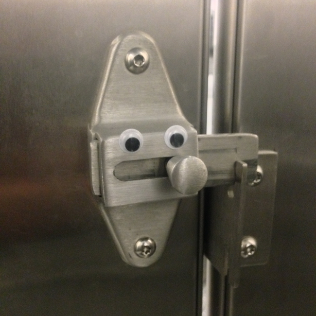 What kind of cruel person would give the inside of a bathroom stall eyes?