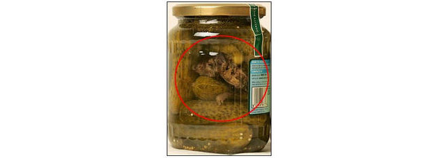 9.) Pickled rat.