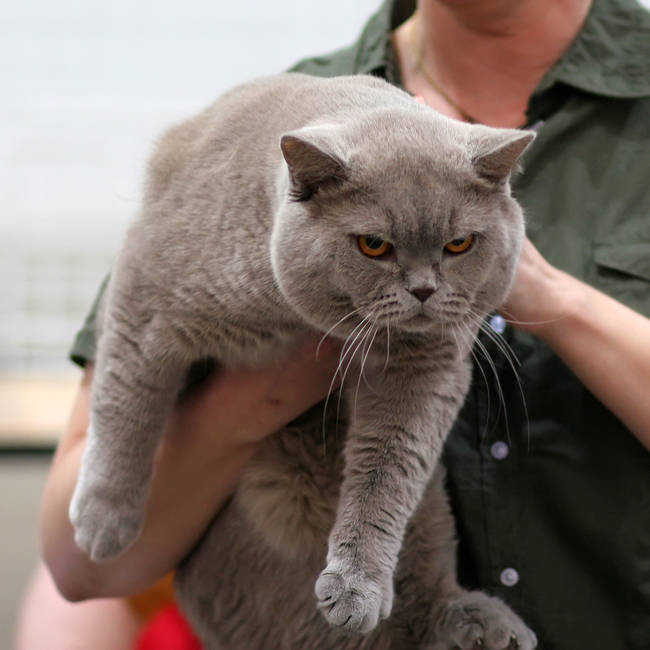 "Seriously, tell your boyfriend to put me down. I want to go hide under the bed with Ralph."