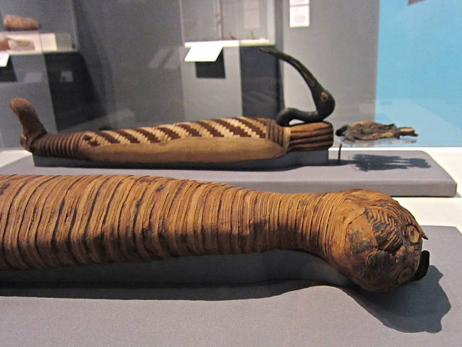 A cat mummy (780-390 BCE) with an ibis mummy (30 BCE-1st century CE). Despite the difference in their time periods, the practice remained remarkably similar.