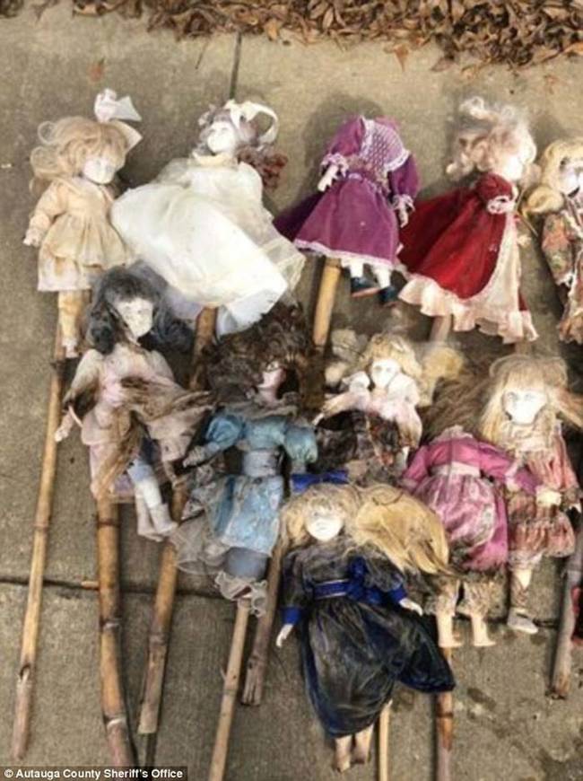 The dolls were discovered by local police in the swamp after numerous mentions on social media.